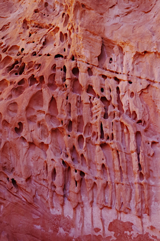 Crack canyon  – Кораллы, риф и ни капли воды