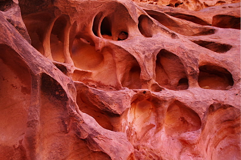 Crack canyon  – Кораллы, риф и ни капли воды